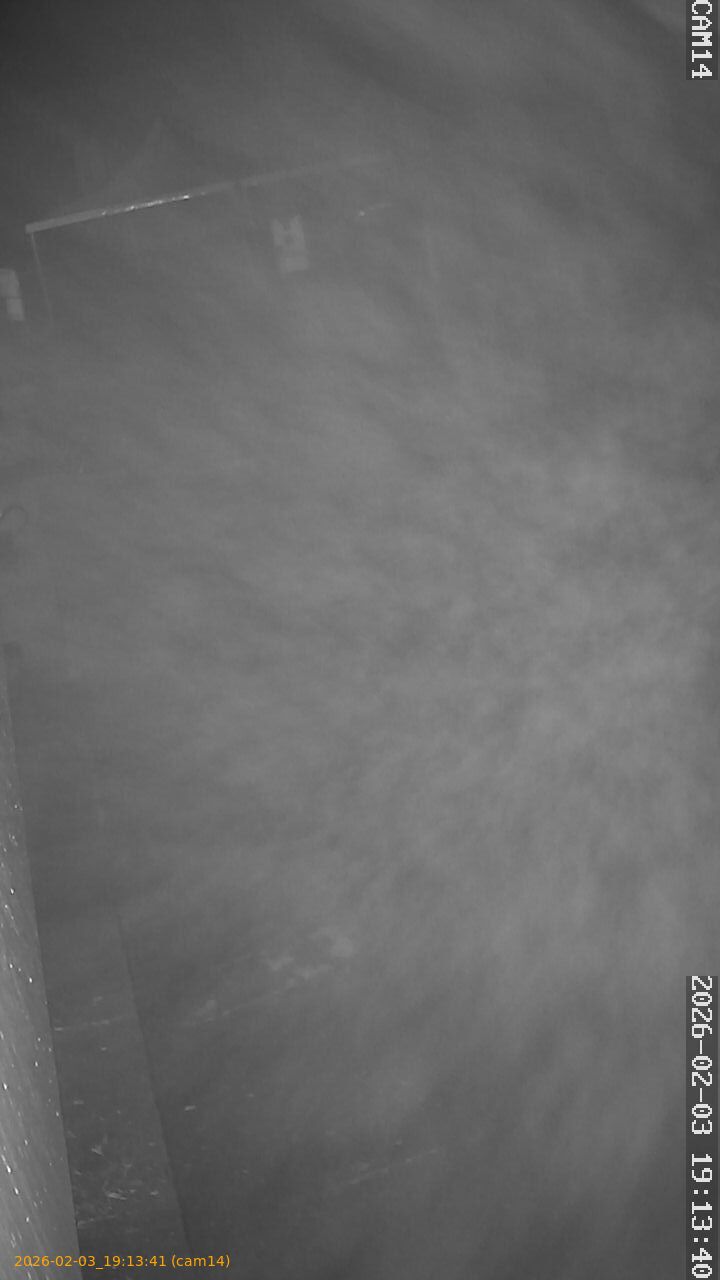 thumbnail_20260203191341