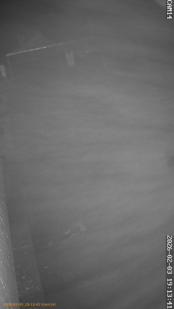 thumbnail_20260203191342