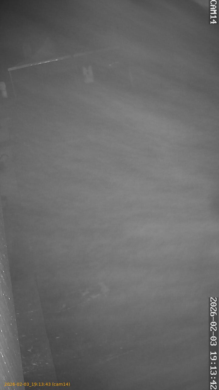 thumbnail_20260203191343