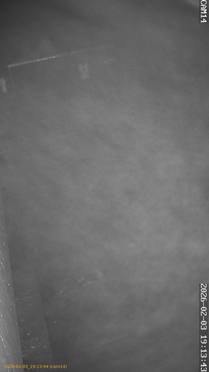 thumbnail_20260203191344