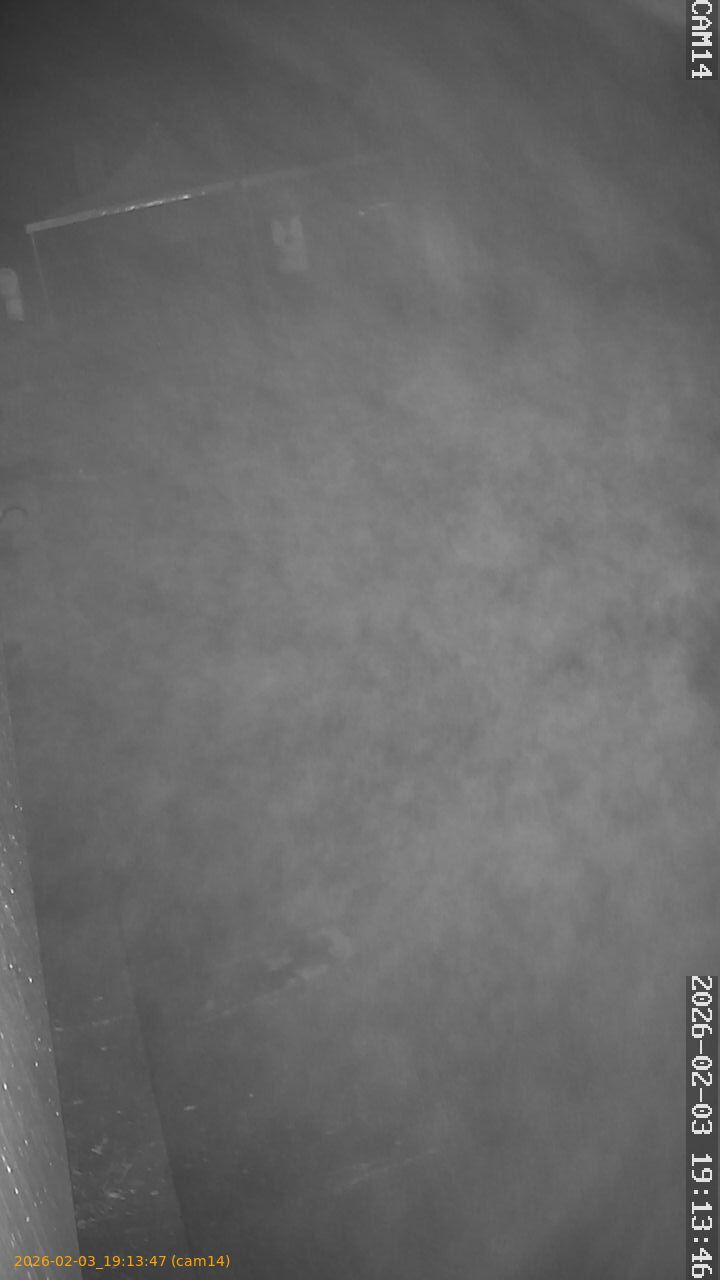 thumbnail_20260203191347