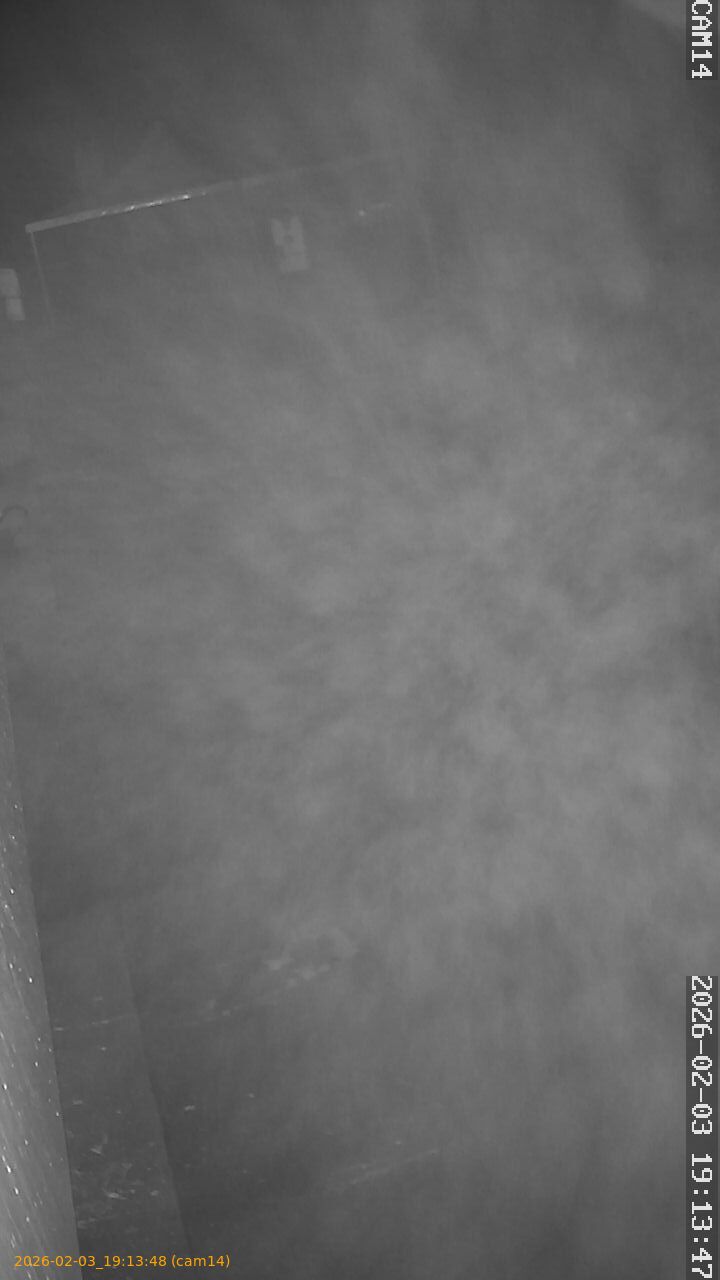 thumbnail_20260203191348