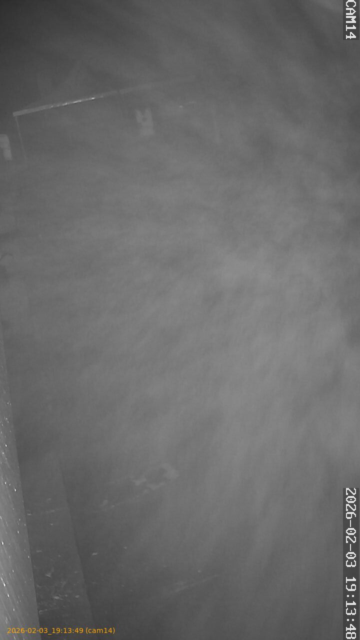 thumbnail_20260203191349