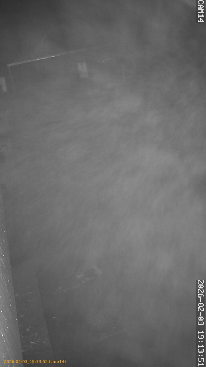 thumbnail_20260203191352