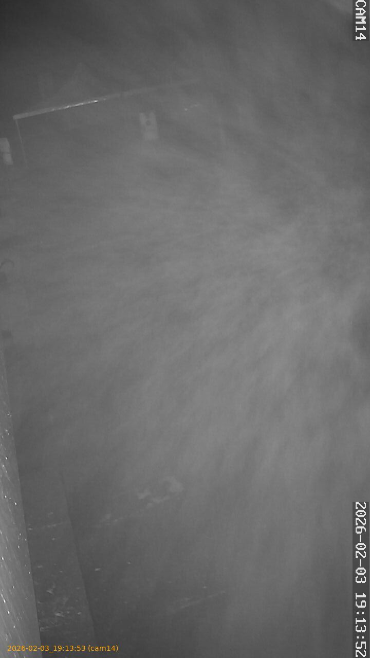 thumbnail_20260203191353