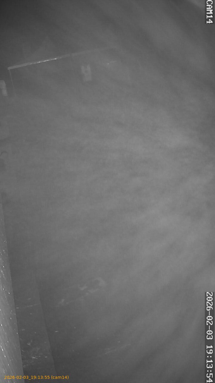 thumbnail_20260203191355