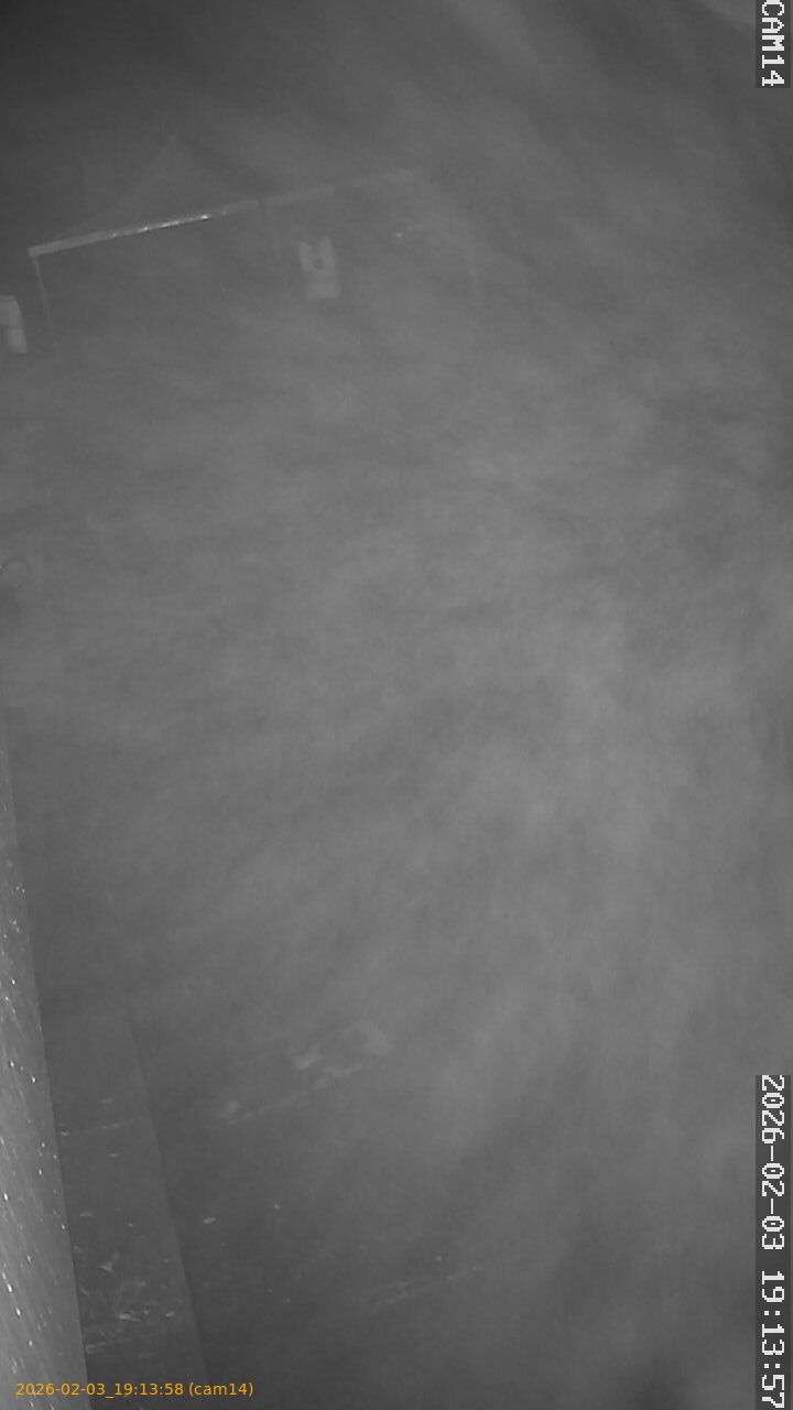 thumbnail_20260203191358