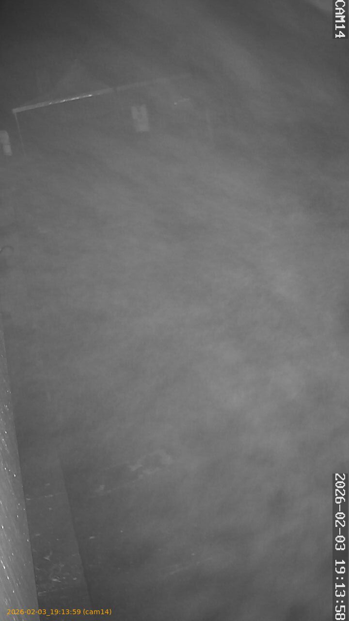 thumbnail_20260203191359