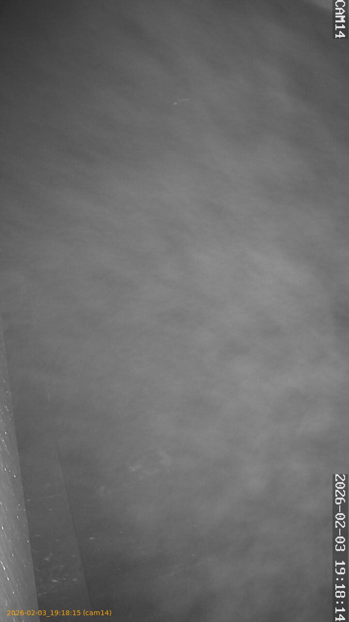 thumbnail_20260203191815