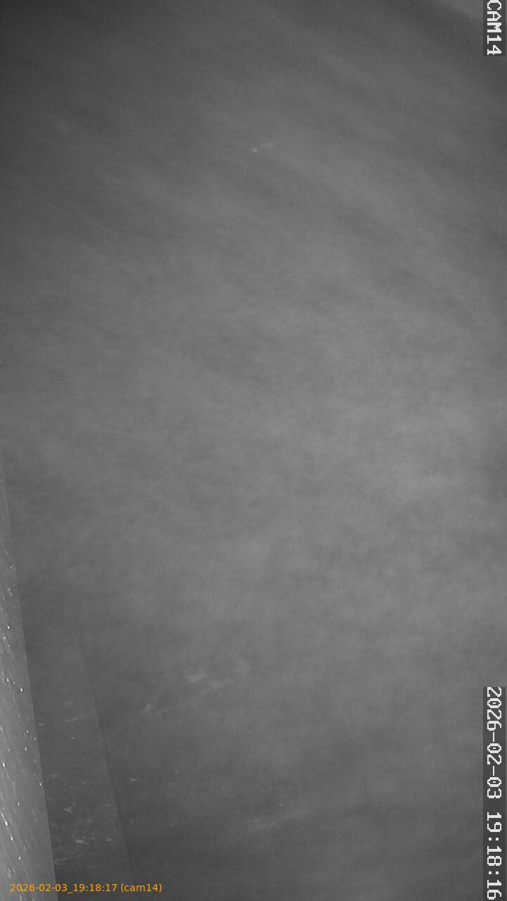 thumbnail_20260203191817