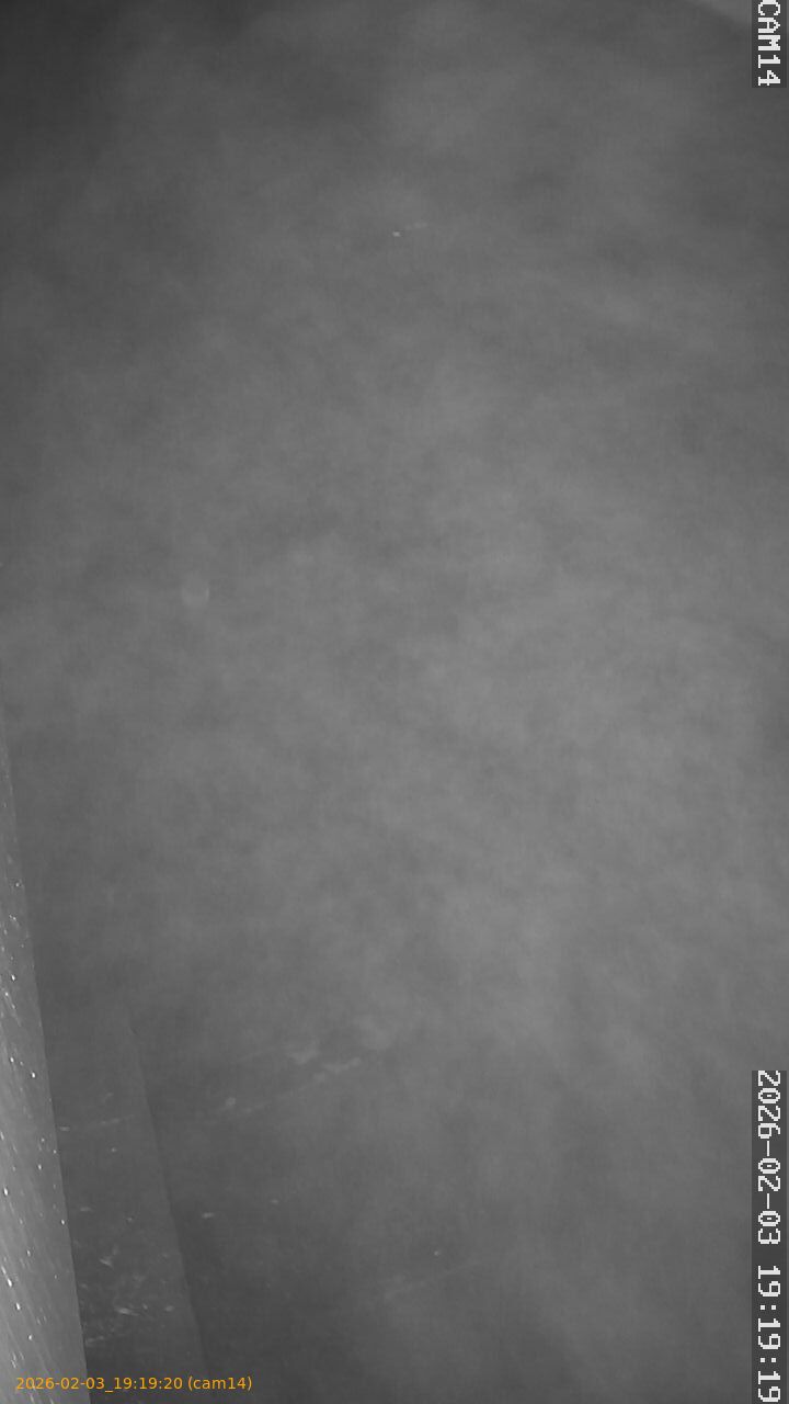 thumbnail_20260203191920