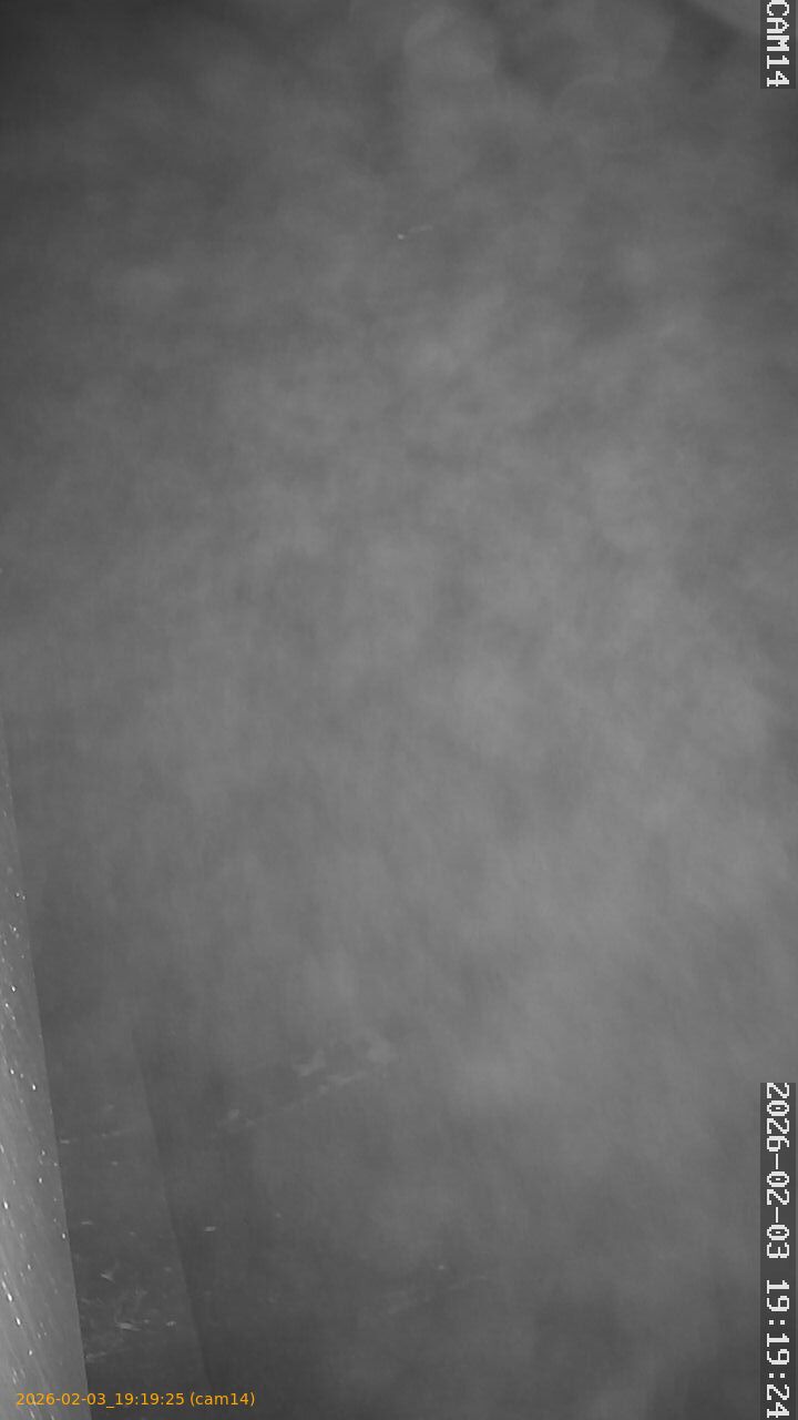 thumbnail_20260203191925