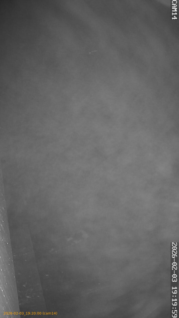 thumbnail_20260203192000