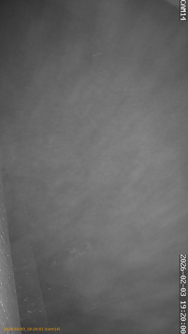 thumbnail_20260203192001