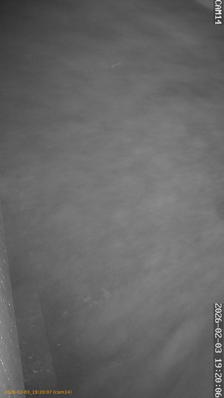 thumbnail_20260203192007