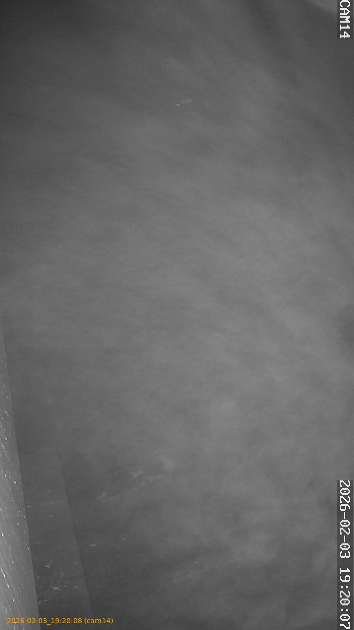 thumbnail_20260203192008