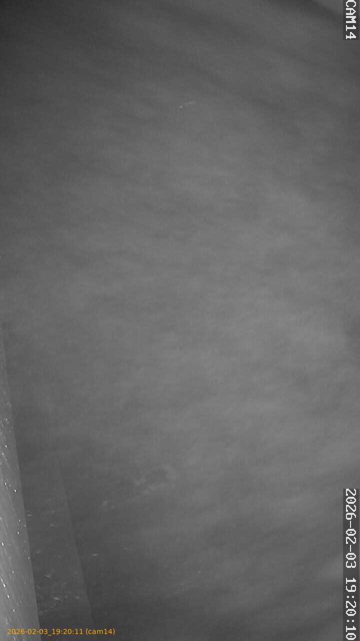 thumbnail_20260203192011