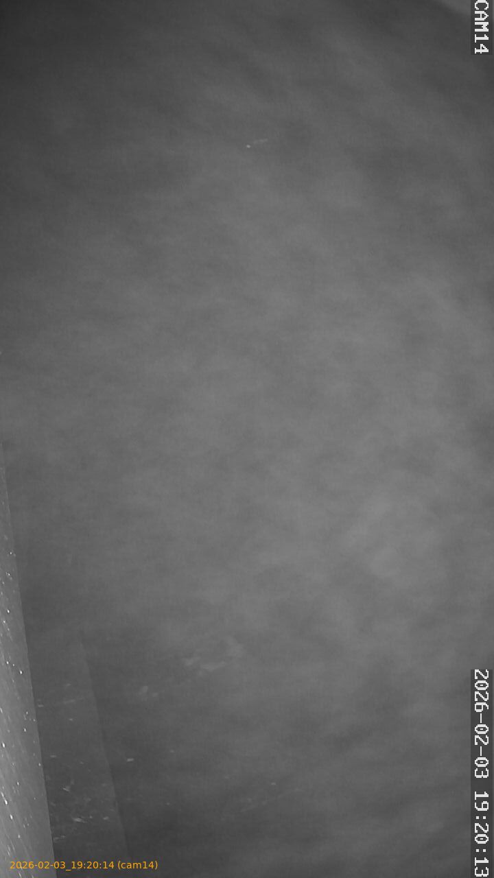 thumbnail_20260203192014