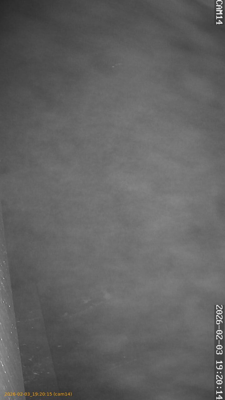 thumbnail_20260203192015