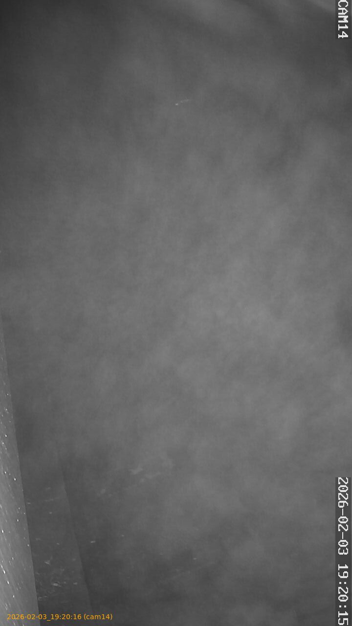 thumbnail_20260203192016