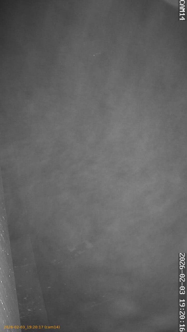 thumbnail_20260203192017