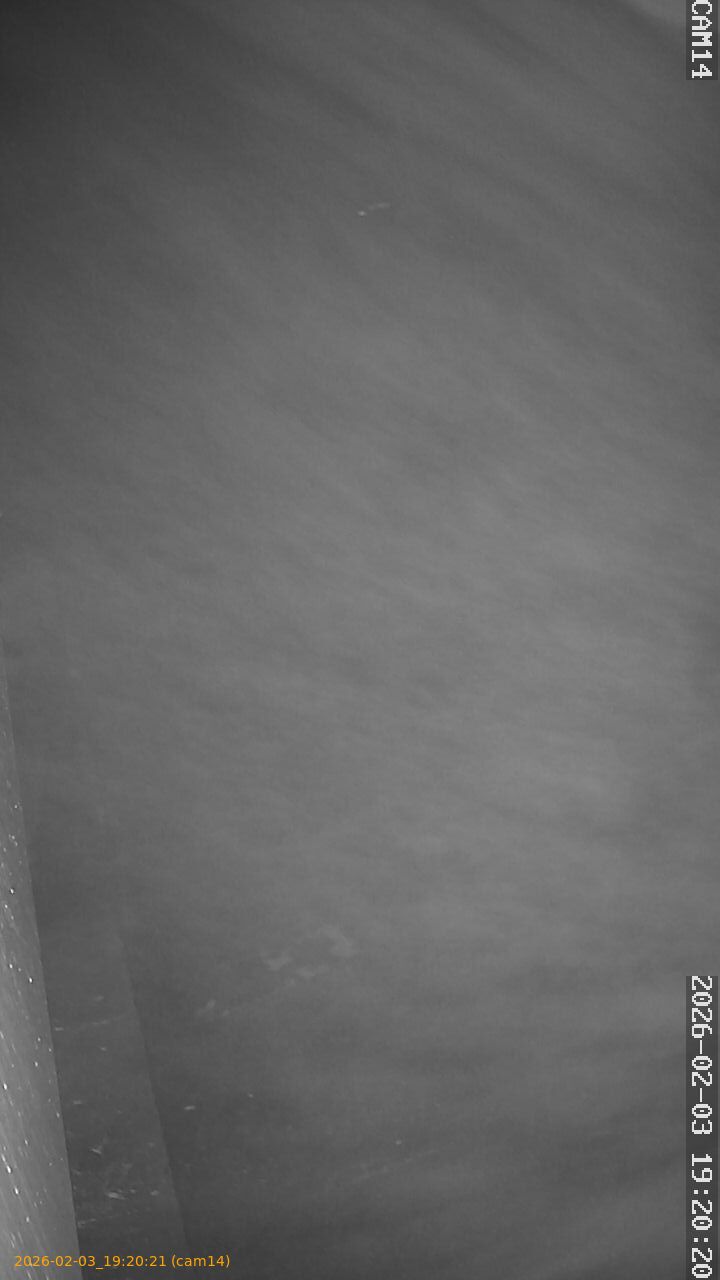 thumbnail_20260203192021