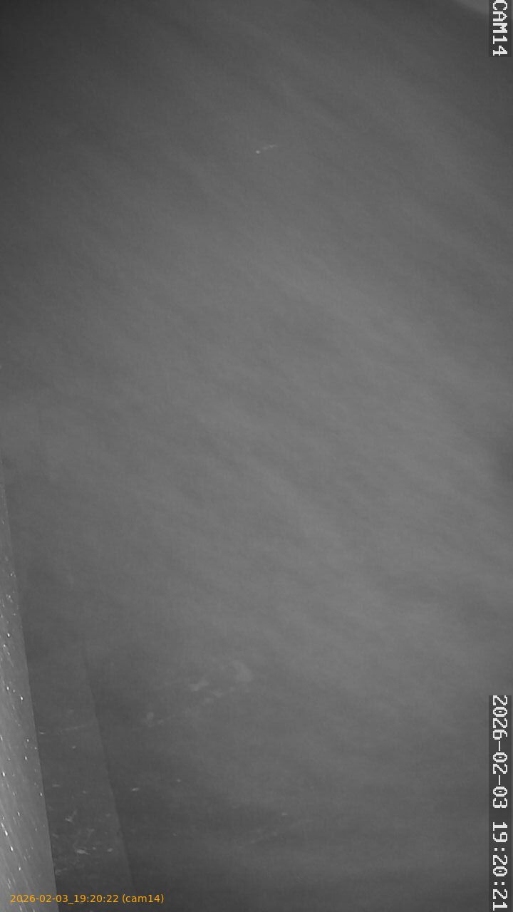 thumbnail_20260203192022