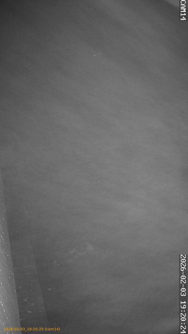 thumbnail_20260203192025