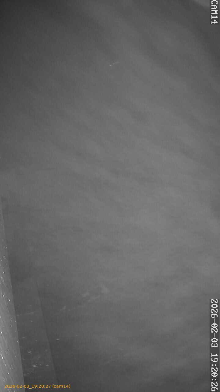 thumbnail_20260203192027