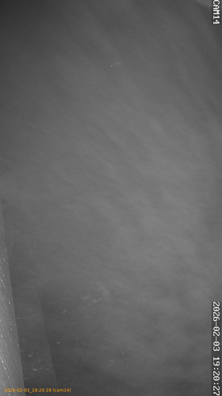 thumbnail_20260203192028