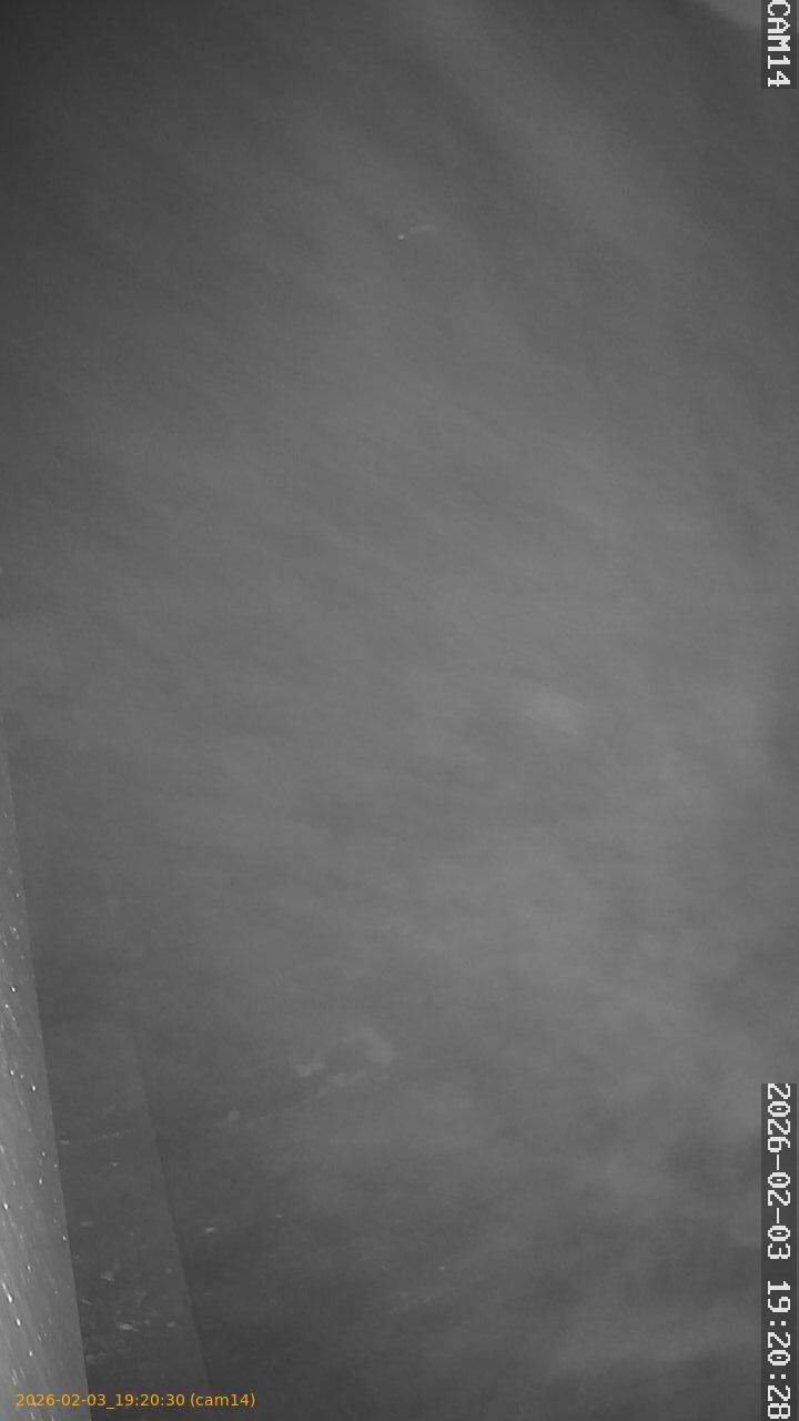 thumbnail_20260203192029