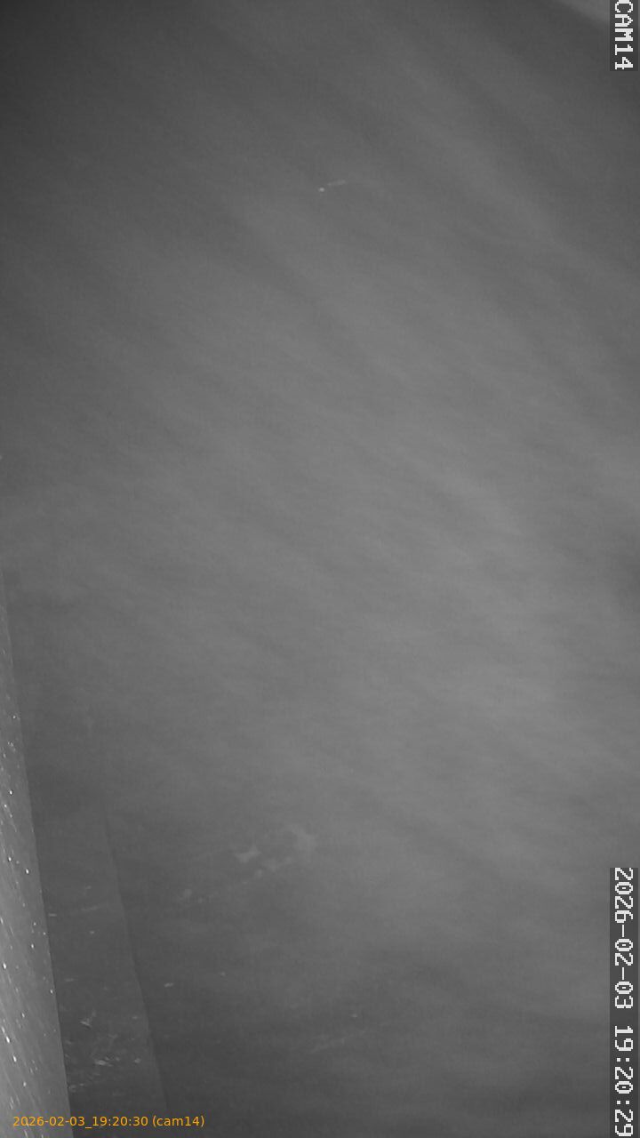 thumbnail_20260203192030