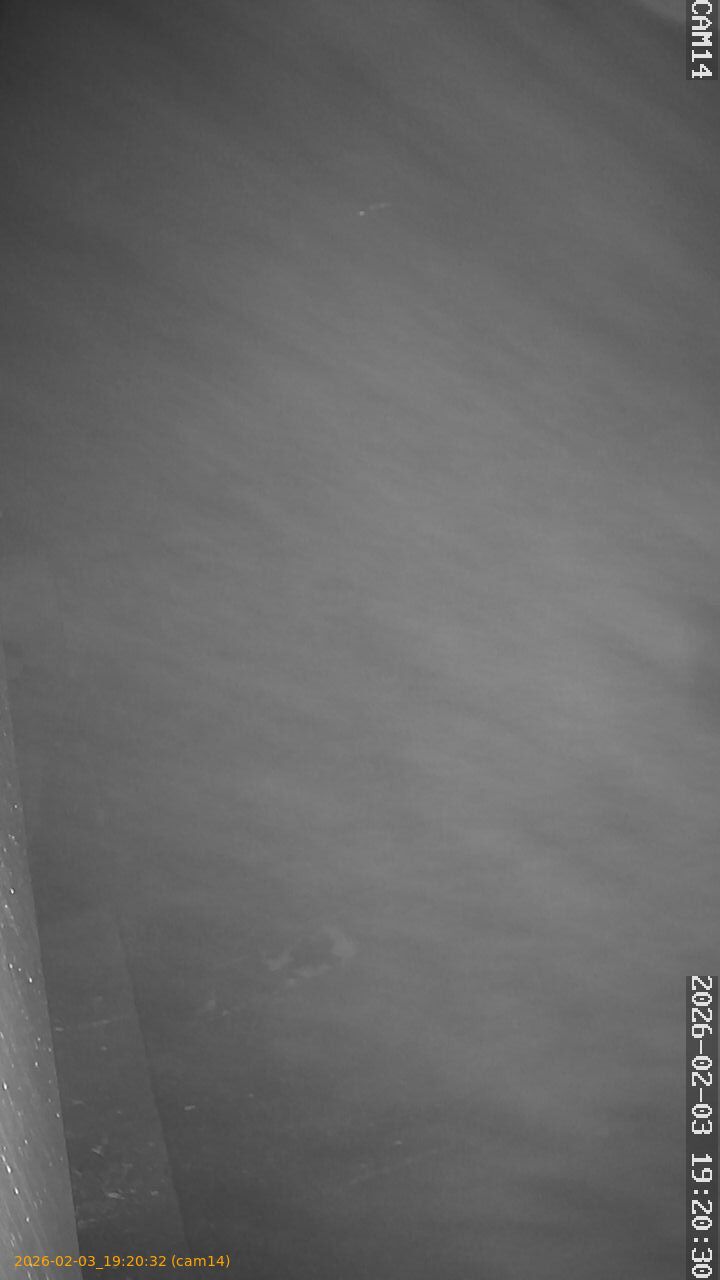 thumbnail_20260203192031