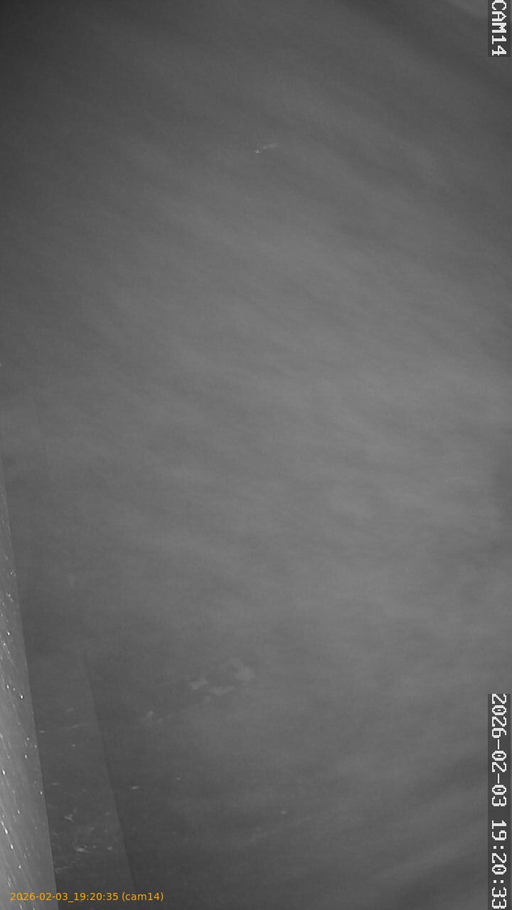 thumbnail_20260203192034