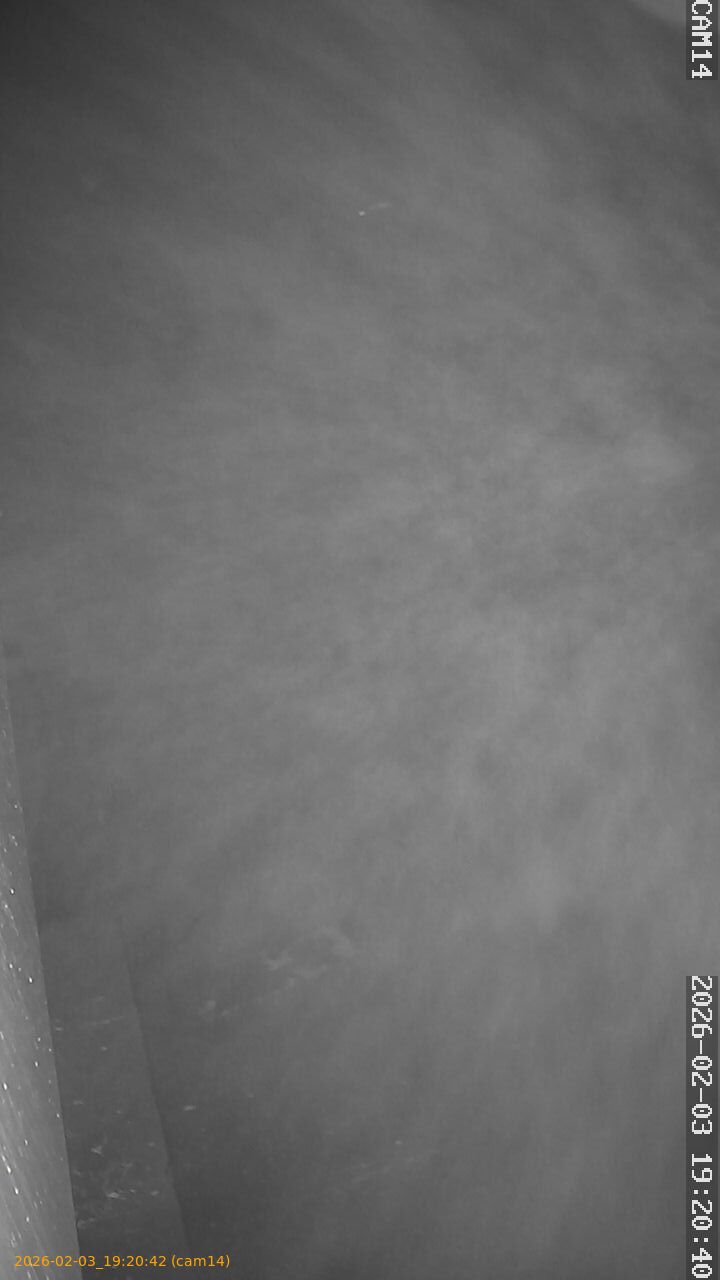 thumbnail_20260203192042