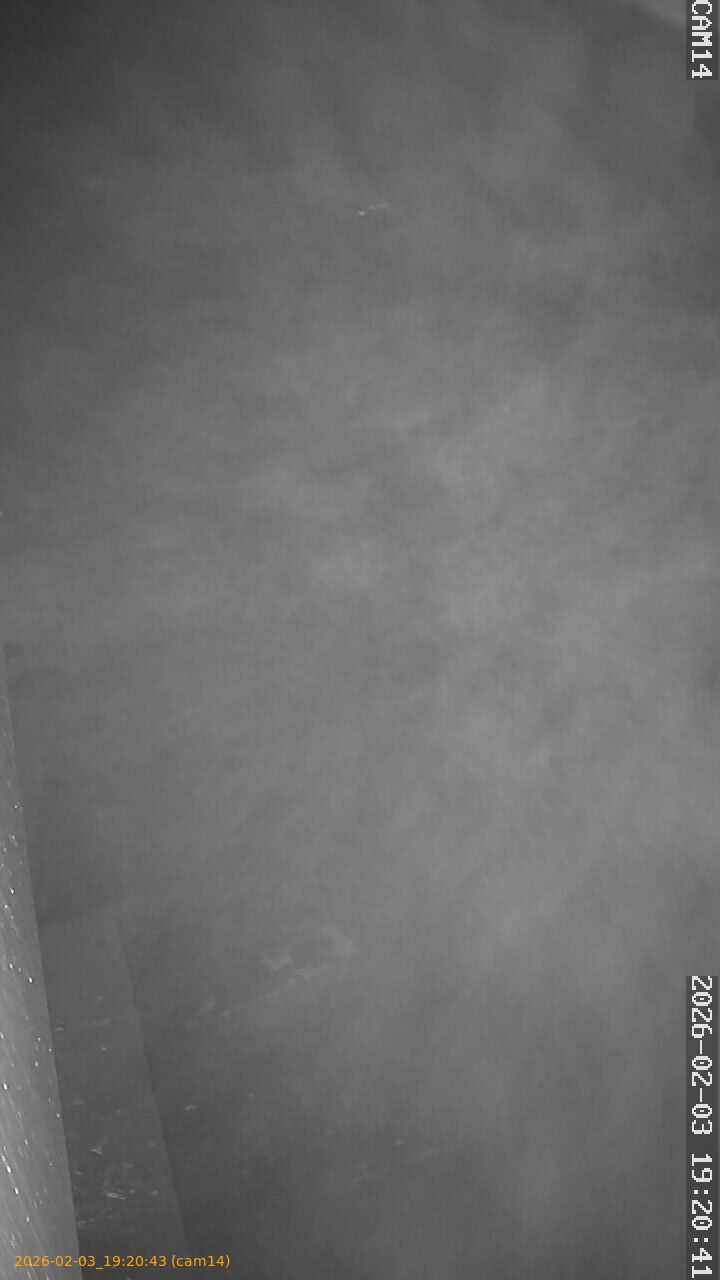 thumbnail_20260203192043