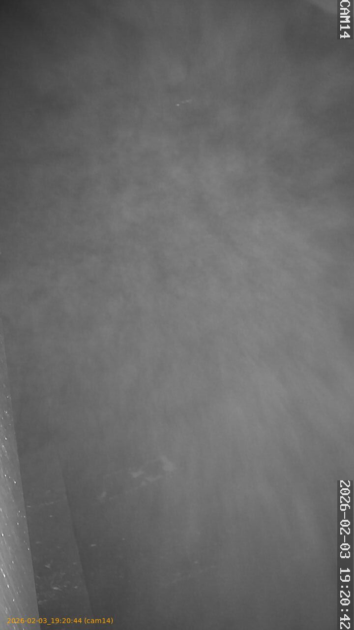 thumbnail_20260203192044