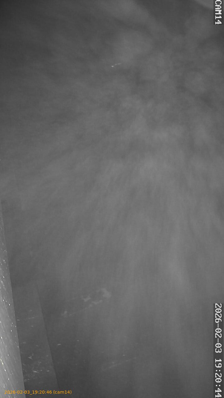 thumbnail_20260203192046