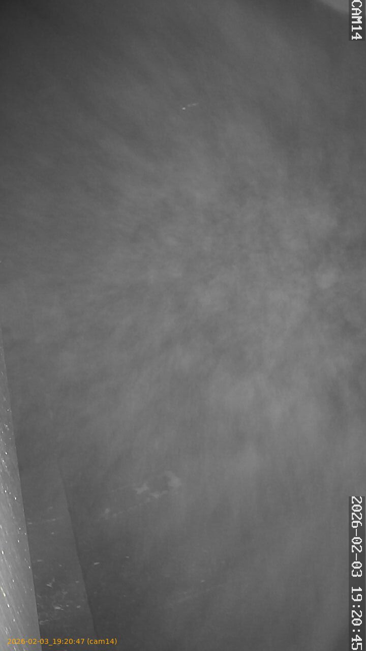 thumbnail_20260203192047