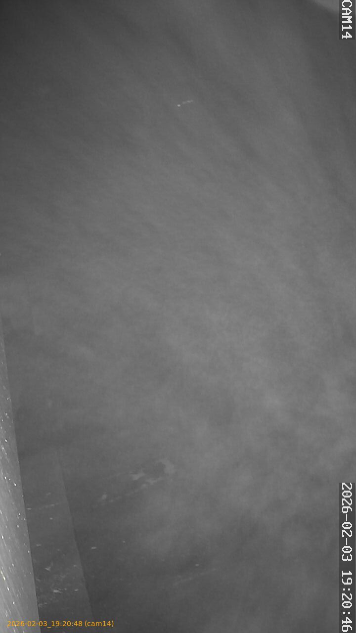 thumbnail_20260203192048