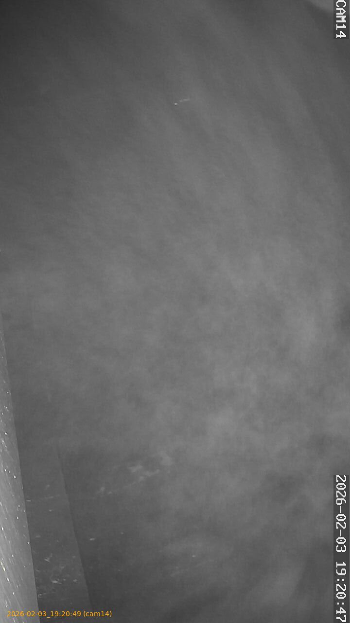 thumbnail_20260203192049