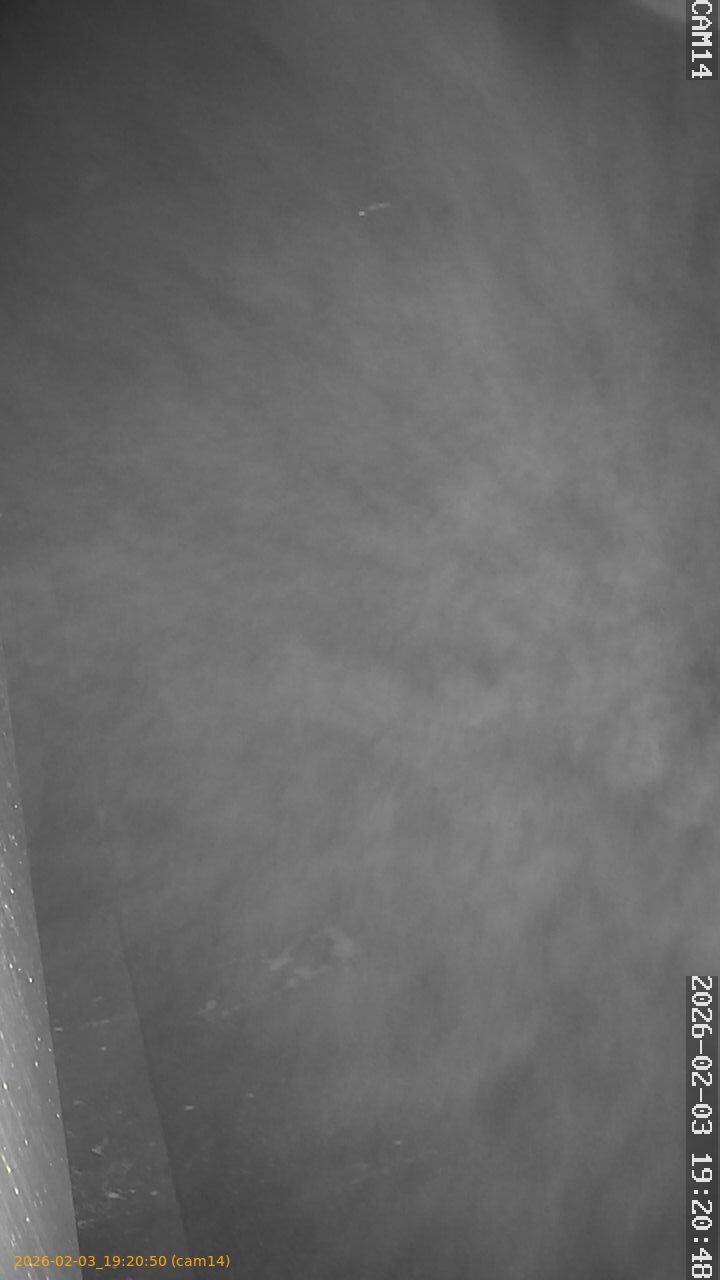 thumbnail_20260203192050