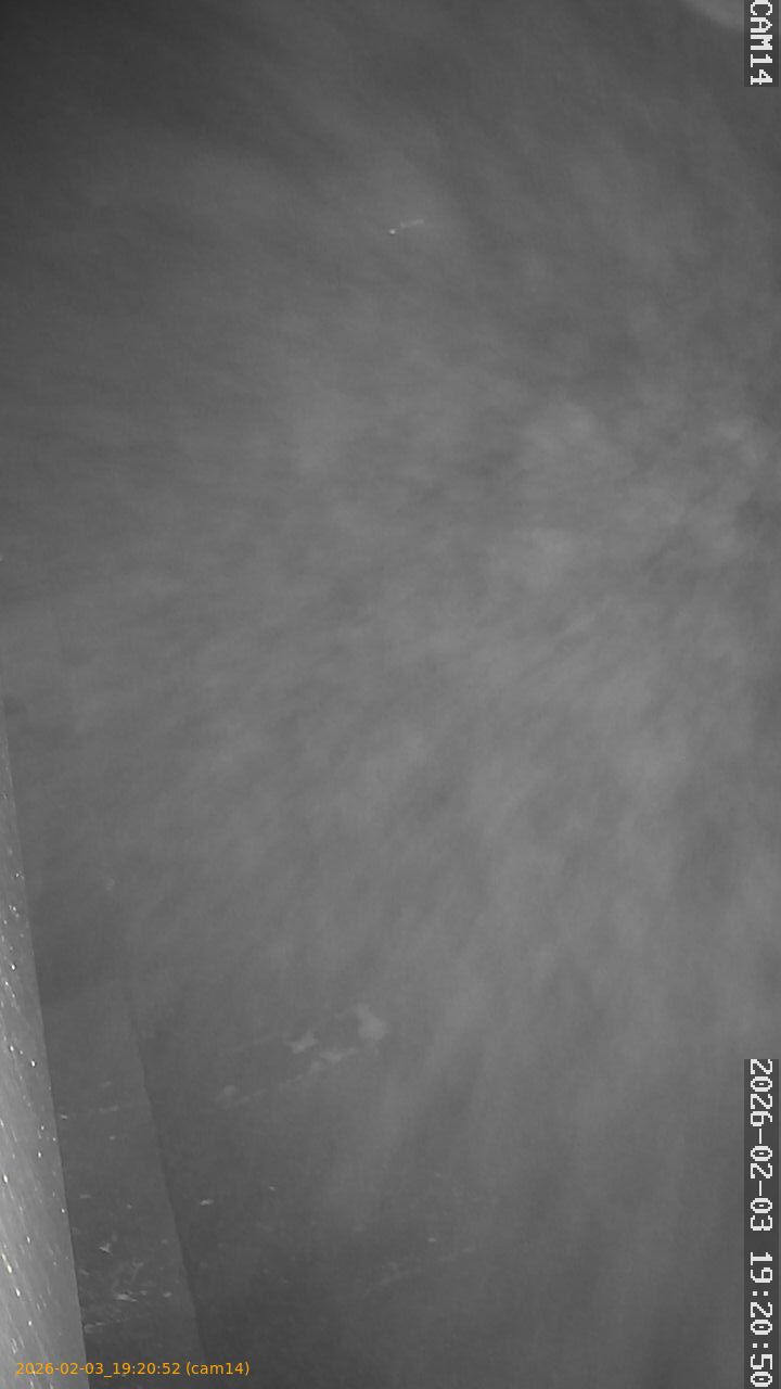 thumbnail_20260203192052