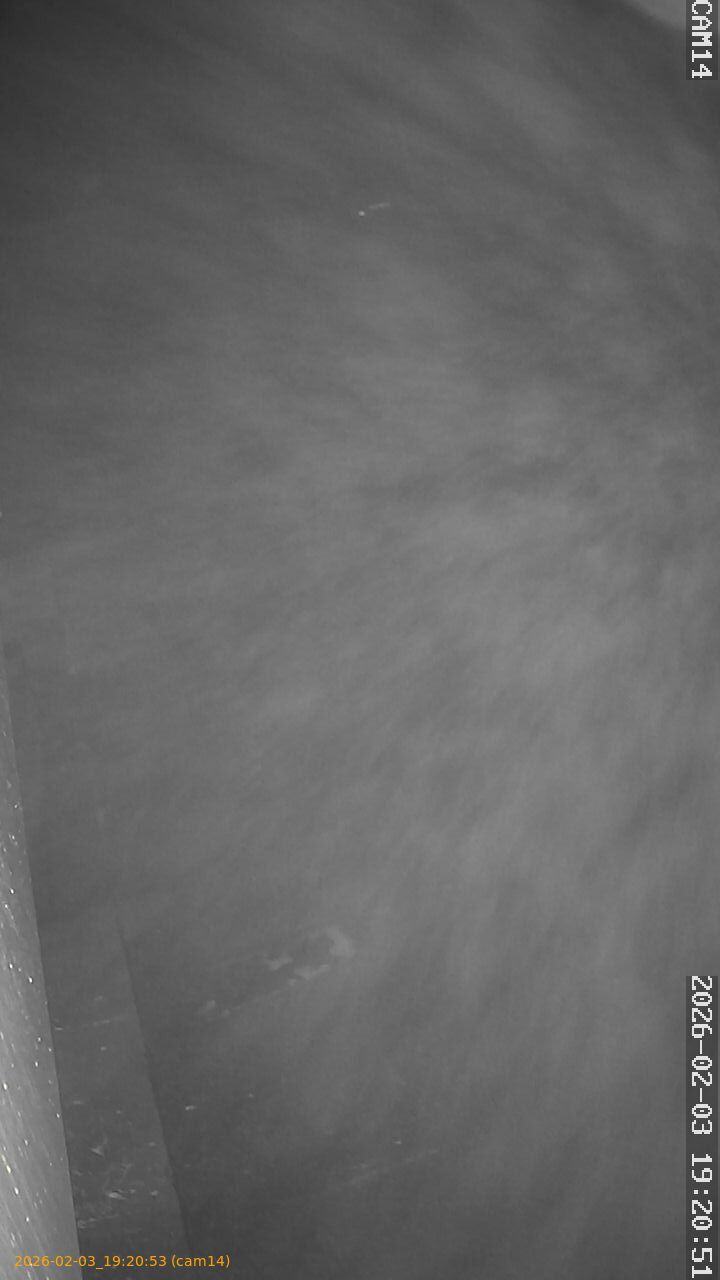 thumbnail_20260203192053