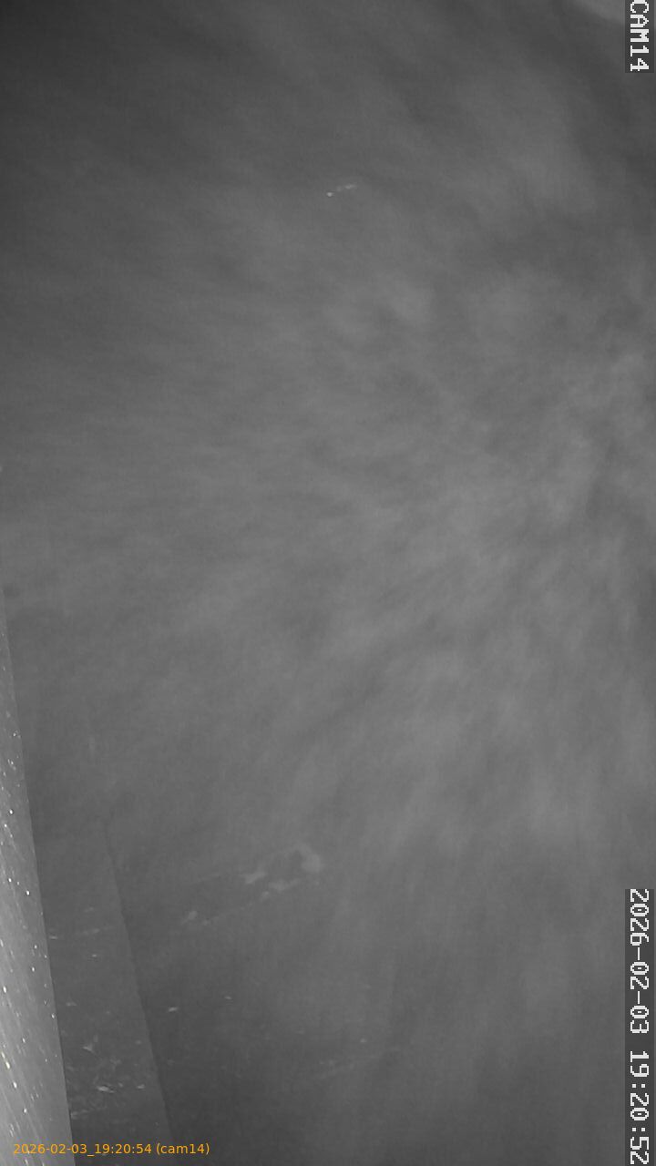 thumbnail_20260203192054