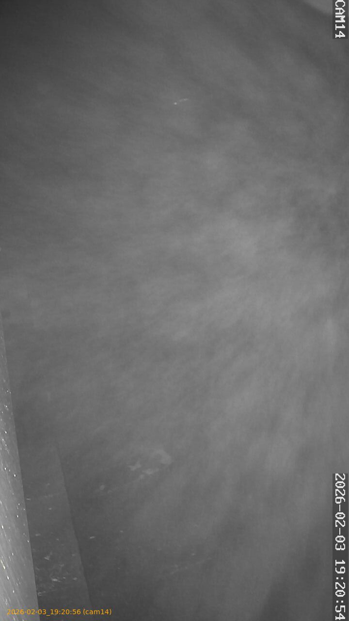 thumbnail_20260203192056