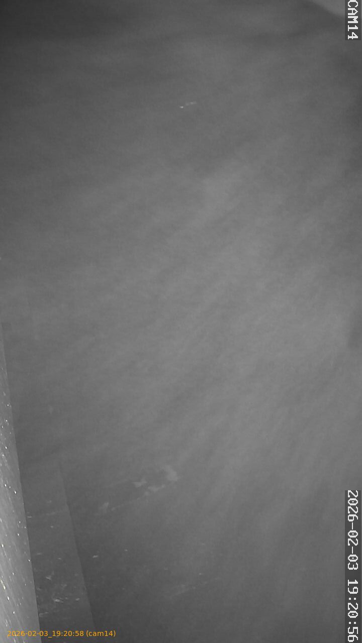 thumbnail_20260203192058