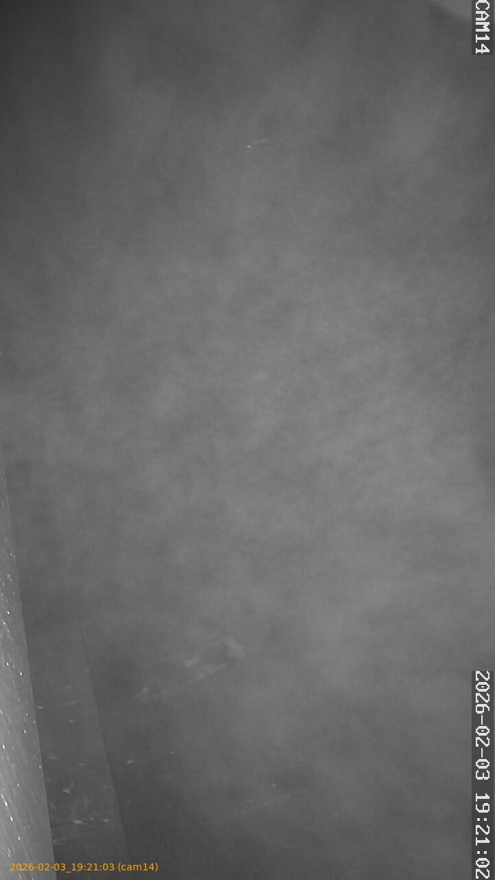 thumbnail_20260203192103