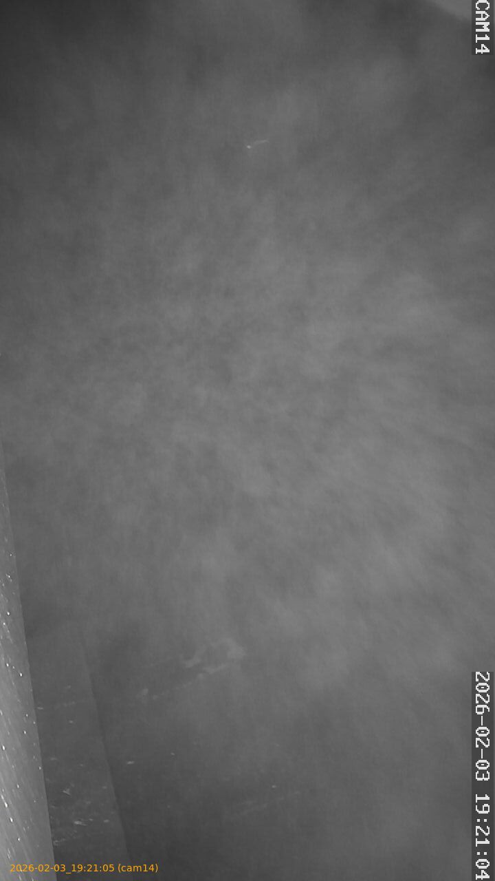 thumbnail_20260203192105