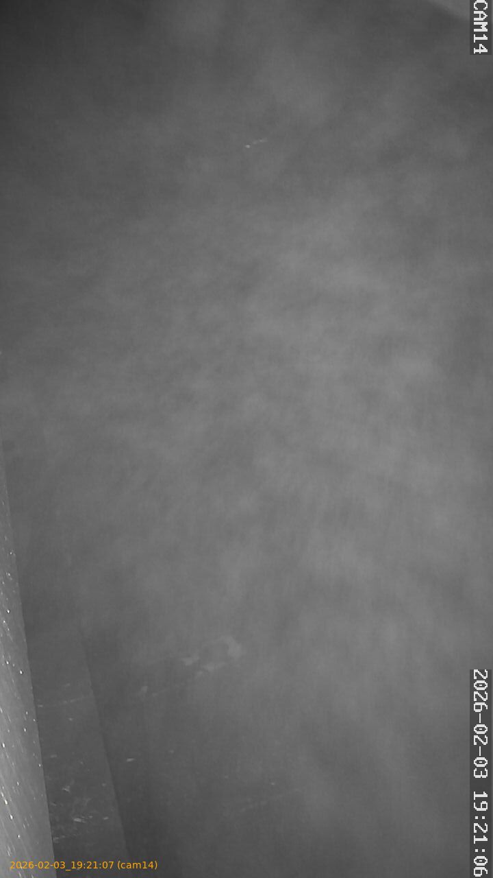 thumbnail_20260203192107